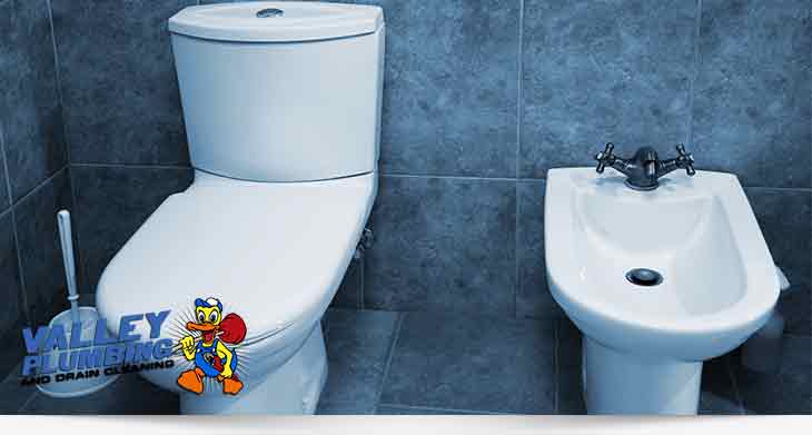 Toilet Repair Services in Salt Lake City, Utah