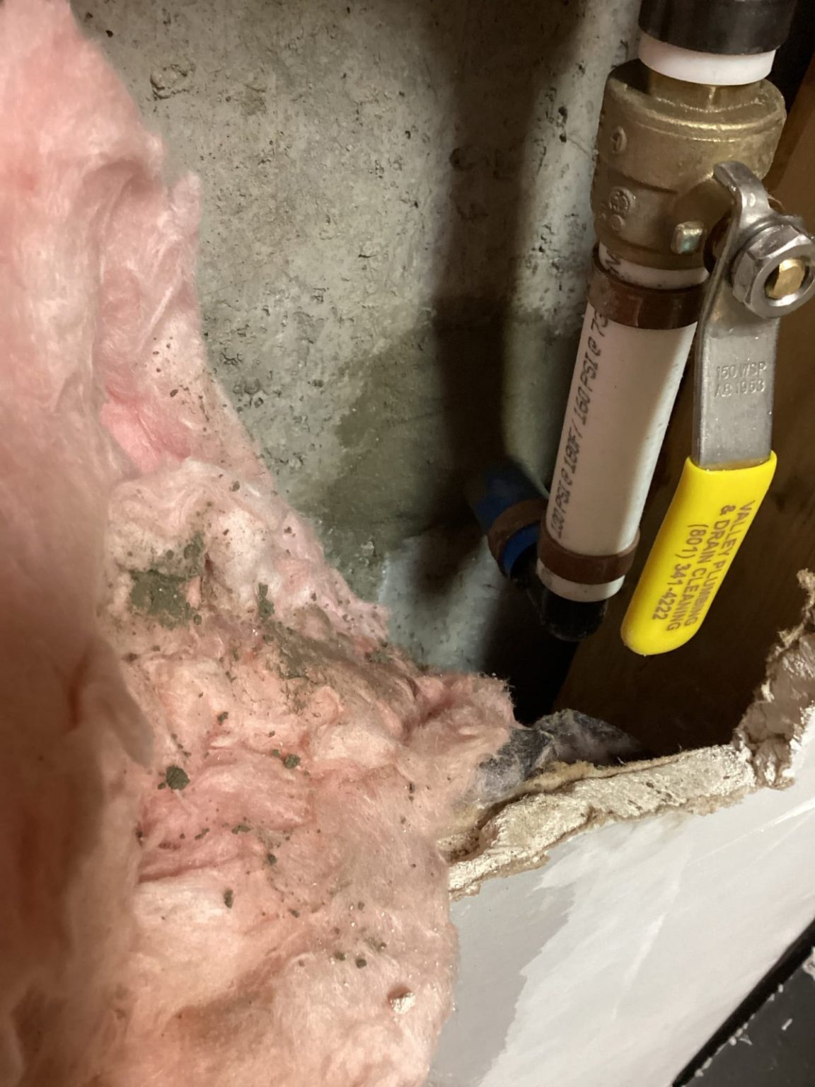 Case Study 2 » Valley Plumbing and Drain Cleaning